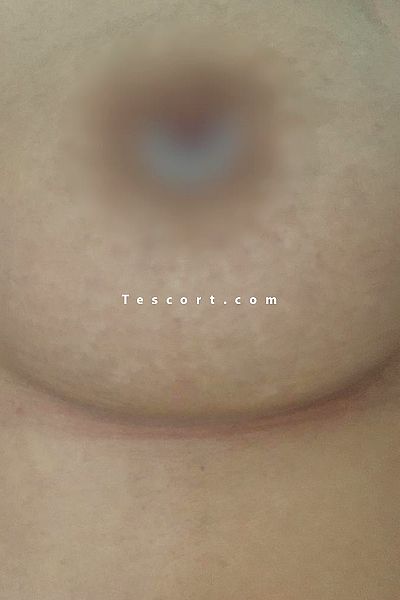 sev - Lille Escorts #10