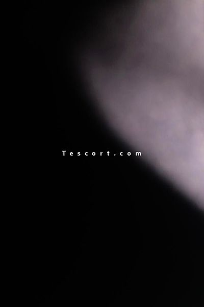 Floriana - Montpellier Escorts #3