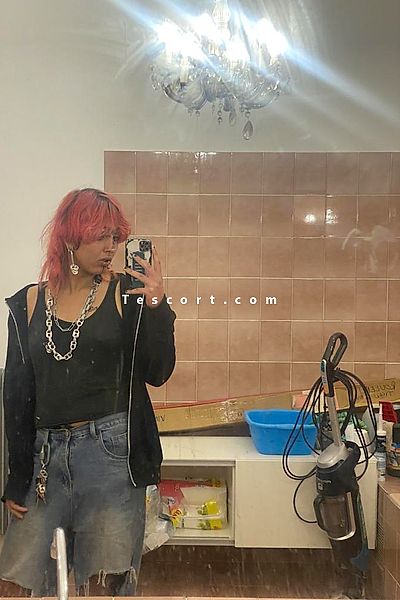 Nayla - Escort Trans Toulouse #6