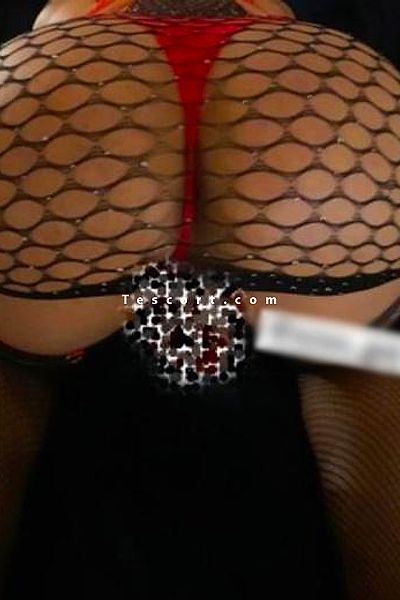 Chiennegay_recois - Dijon Trans Escorts #2