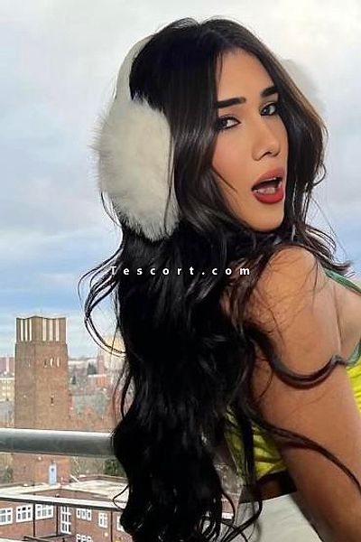 MAITRESSE 22cm - Toulon Trans Escorts #20