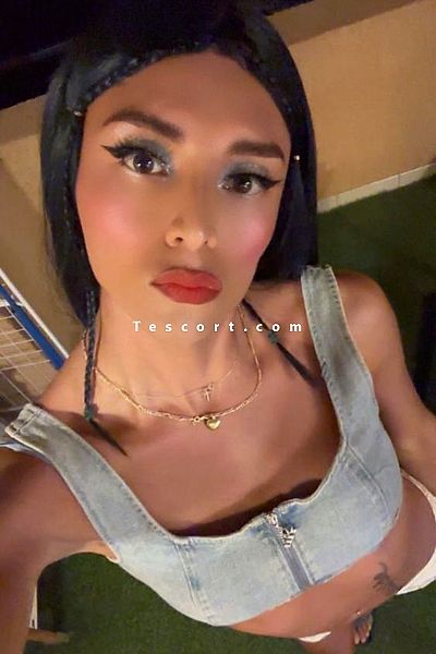 TOKIO - Nice Trans Escorts #3