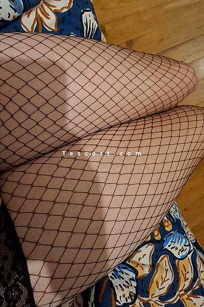 Lisa - Auch Trans Escorts #7