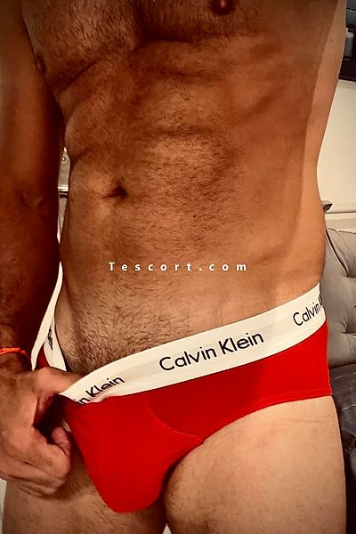 Bixente - Escort Boy Bordeaux #2