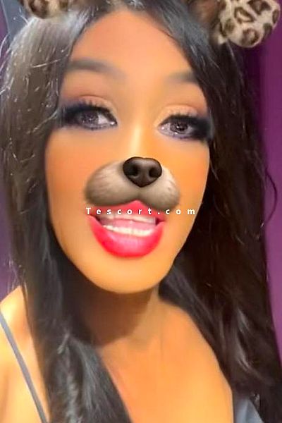 Inestrav - Escort Trans Lyon #1
