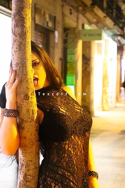 Mely - Escort Trans Saint-Etienne #2