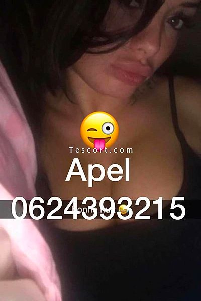 INESTRANS01 - Lyon Trans Escorts #3