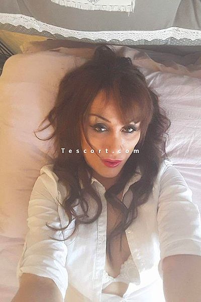 Serena - Agde Trans Escorts #3