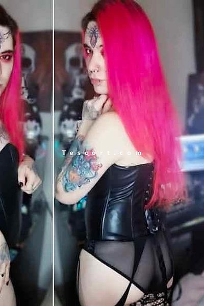 StephTs69009 - Lyon Trans Escorts #1