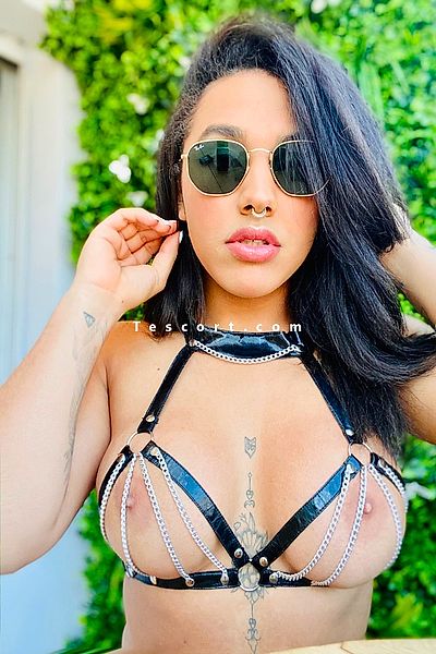 Brunataylor - Monaco Trans Escorts #1