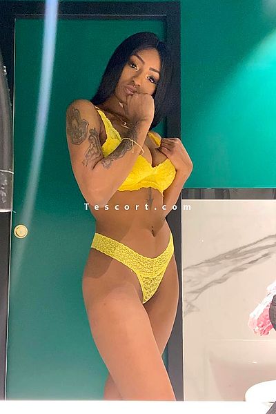 Tamisex - Orange Escorts #2