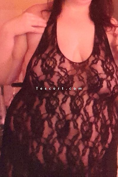 Winhus - Brest Escorts #1