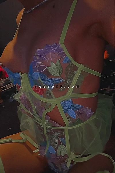 Nabilasecret - Escort Trans Paris #1