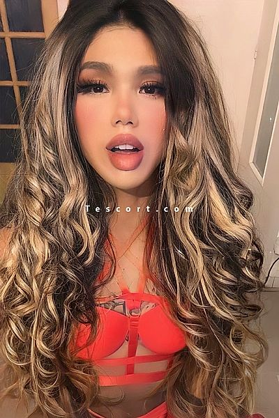 Priscila Ferraz 22 cm - Mulhouse Trans Escorts #18