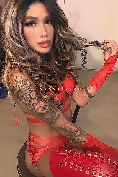 Priscila Ferraz 22 cm - Mulhouse Trans Escorts #19