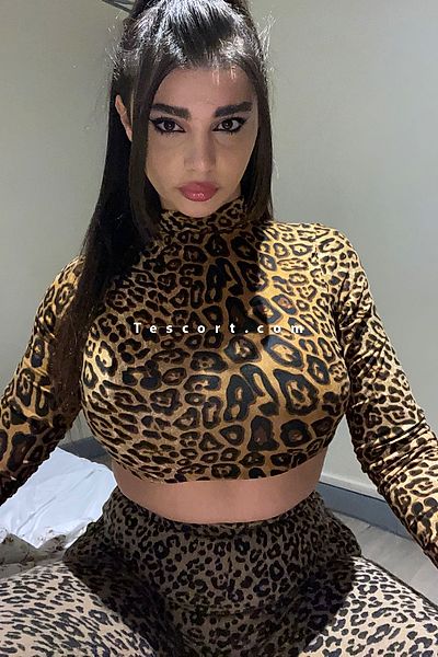 Lana ts arabic - Paris Trans Escorts #2