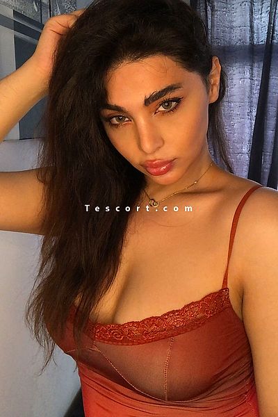 Lana ts arabic - Paris Trans Escorts #1