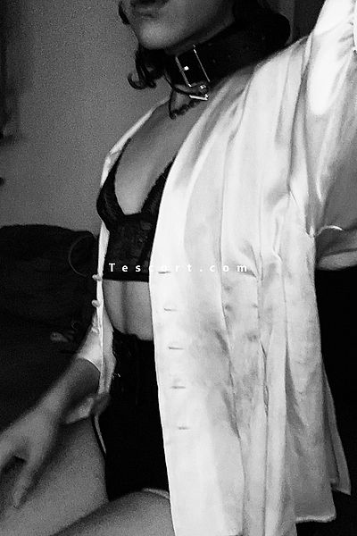 leyla - Toulouse Trans Escorts #6