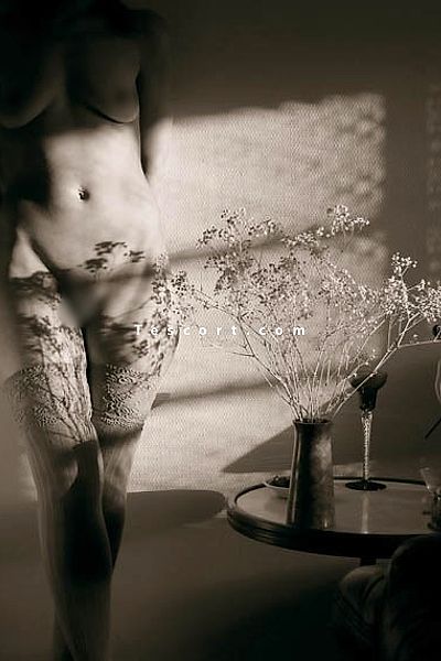frehia - Escort Girl Valenciennes #3