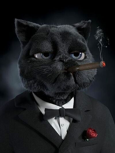 Piter Avatar