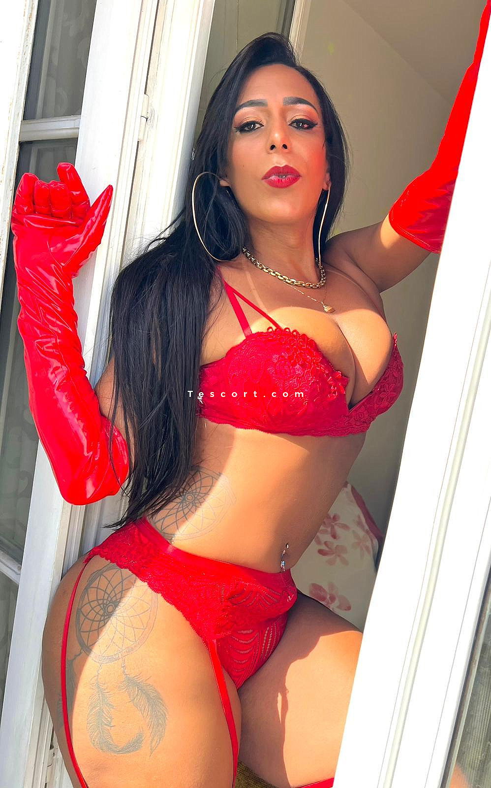 Trans Escorts Jessica anaconda in Paris - Tescort